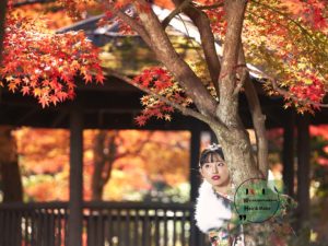 成人写真 長門 紅葉 元の隅神社&海