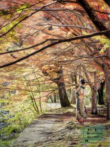 成人写真 長門 紅葉 元の隅神社&海