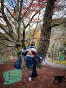 成人写真 長門 紅葉 元の隅神社&海